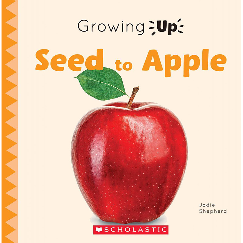 现货英文原版 seed to apple growing up 苹果种子成长 激发孩子好奇