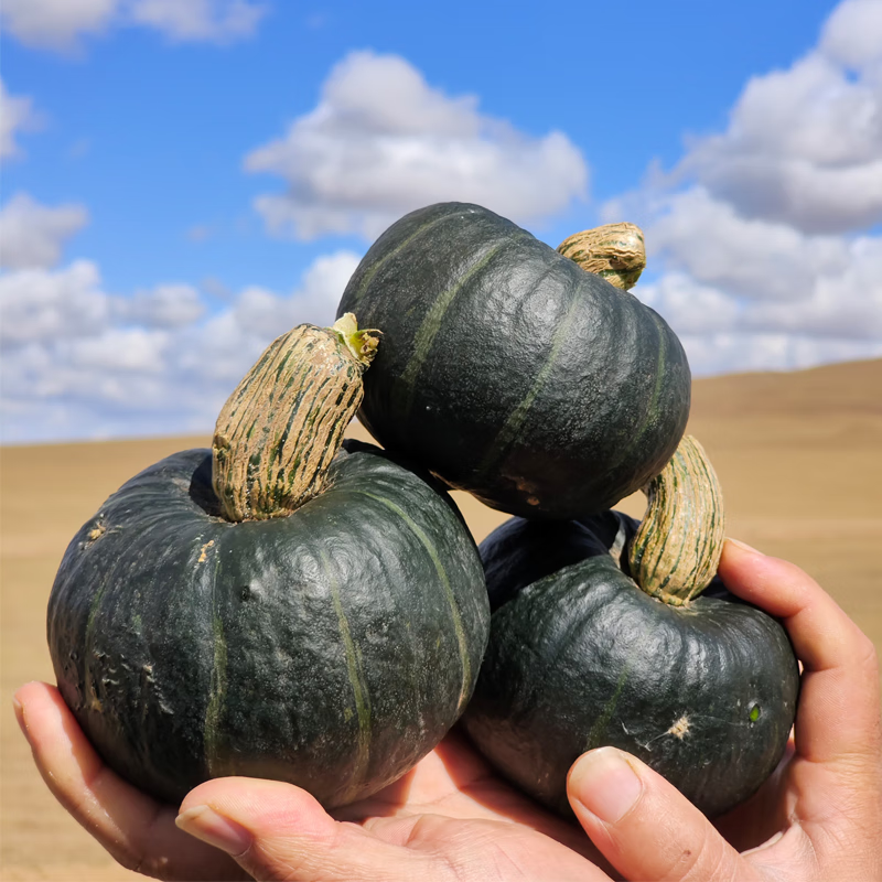 秦品堂正宗贝贝南瓜板栗味小南瓜新鲜蔬菜软糯香甜轻食减脂餐老少皆宜 【精选】贝贝南瓜 5斤 (带箱)