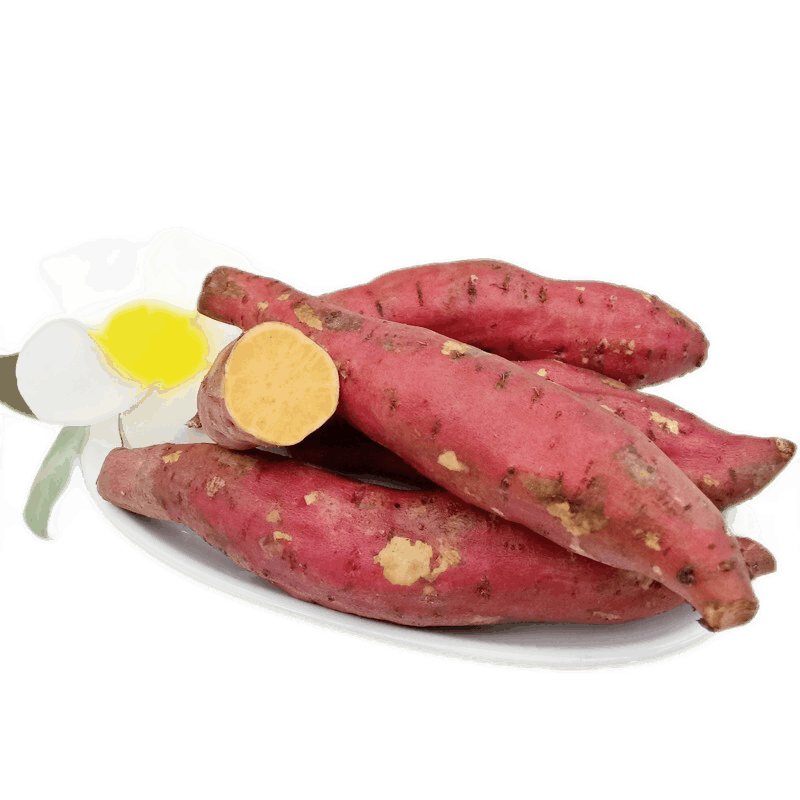  【仅需13.9包邮】遇见悯农 河南沙地蜜薯红薯 净重4.5斤优选装