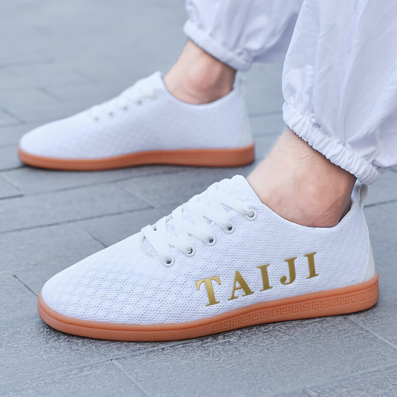 sondr新款网面太极鞋男鞋运动鞋武术鞋练功鞋2024透气夏季男女 白色