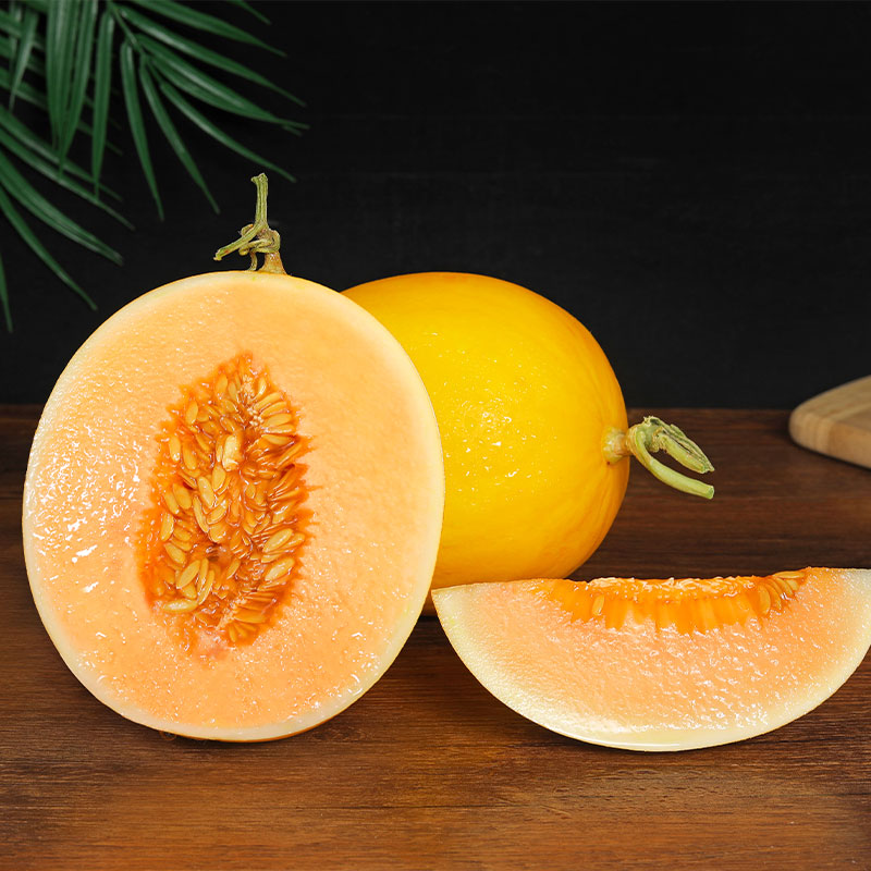 千园九味黄河蜜瓜当季黄皮沙漠蜜瓜金红宝银蒂新鲜水果 整箱 黄金蜜瓜5斤装（推荐）