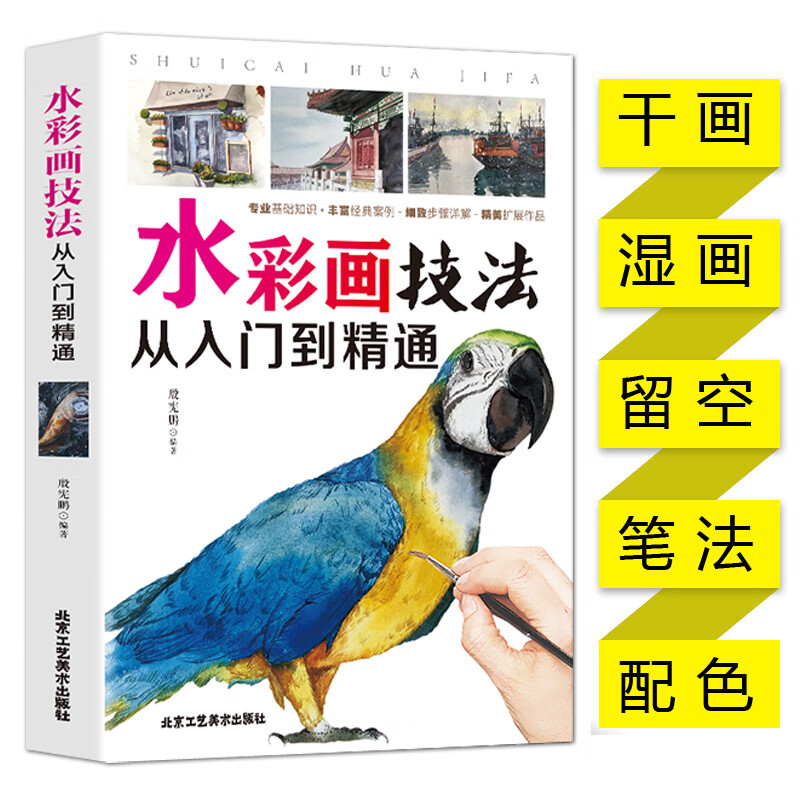 水彩画技法从入门到精通 水彩画基础知识教程 水彩书籍教材入门学生