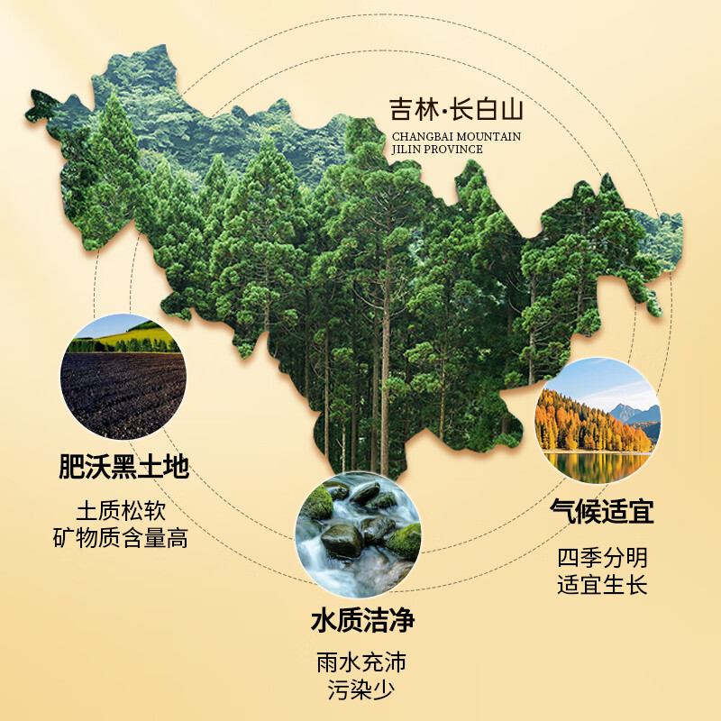 雷允上西洋参片花旗参泡水泡酒滋补营养品送长辈人参皂苷 【自用罐装】 250g*1罐 (0.8-1cm)