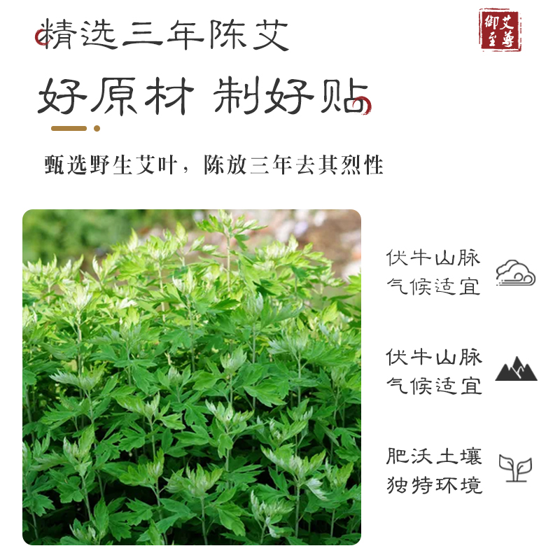 养品堂 艾草温灸颈椎腰椎贴肩周贴膝盖贴艾草多部位暖足贴暖脚贴 艾草生姜温灸贴5盒[75贴]