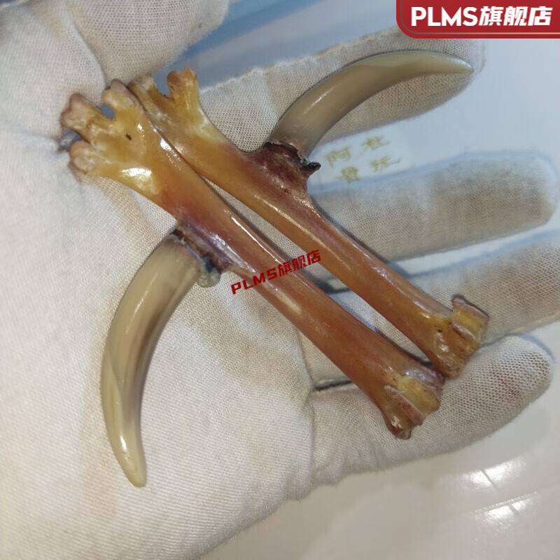 文玩鸡蹬子 鸡脚骨文玩鸡爪骨手把件鸡蹬子老鸡拐子纳福老盘 白玉爪