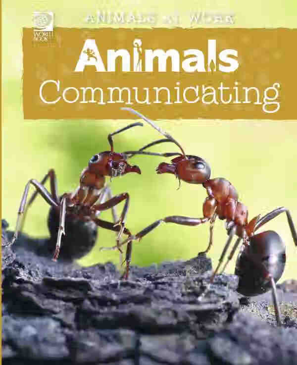 预售 按需印刷animals communicating