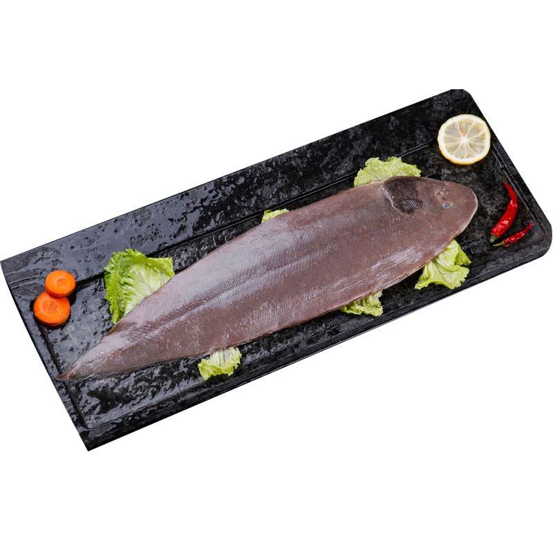 国产深海深海大龙利鱼正宗婴儿大舌头鱼塔米鱼冷冻海鲜水产海鱼生鲜