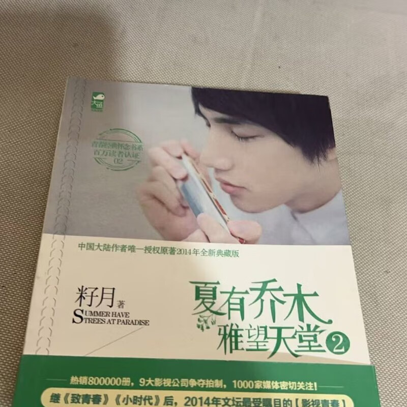 【绝版旧书】夏有乔木:雅望天堂2 花山文艺出版社