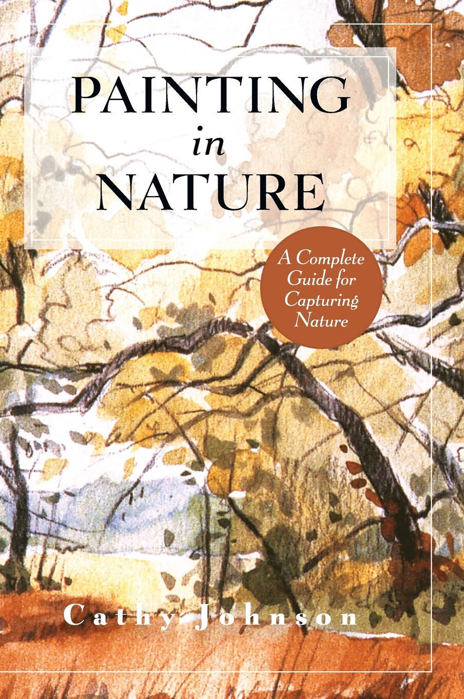 【预售 按需印刷】the sierra club guide to painting in nature