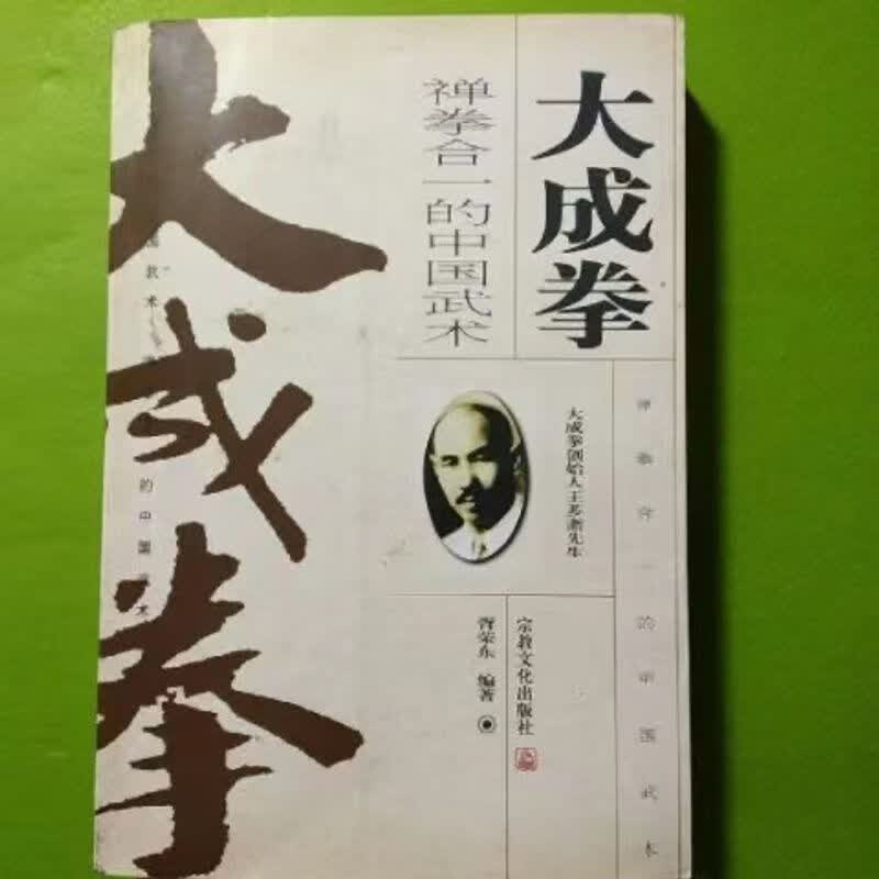 大成拳 禅拳合一的中国武术 胥荣东编著 拳术 武术、气功及禅学