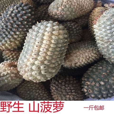 伟博山菠萝野生中药材干品500g罗鼓仔 帕梯 分叉露兜树果新品 图片色