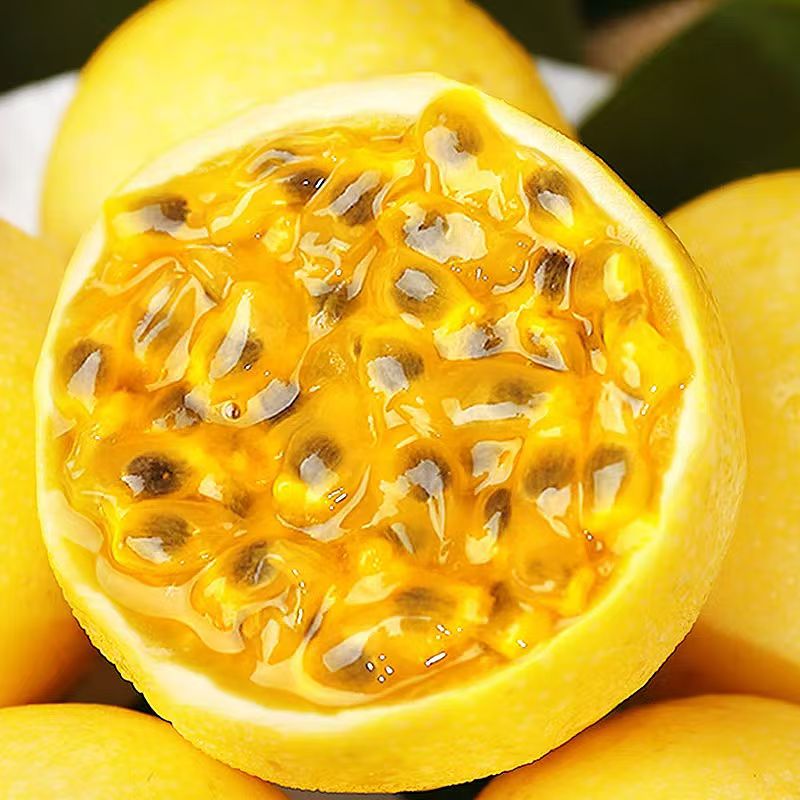 ������ �ƽ����� 2.25-2.5�60-70g/����