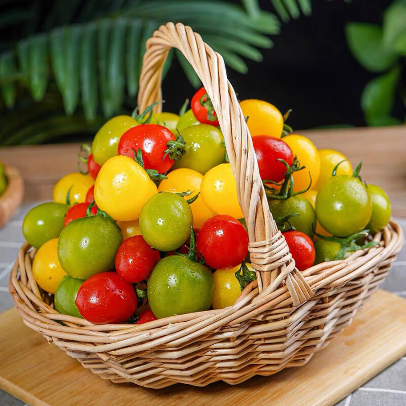 京地达 栗贝诺圣女果小番茄三色番茄组合水果小番茄 净重4.5斤源头直发