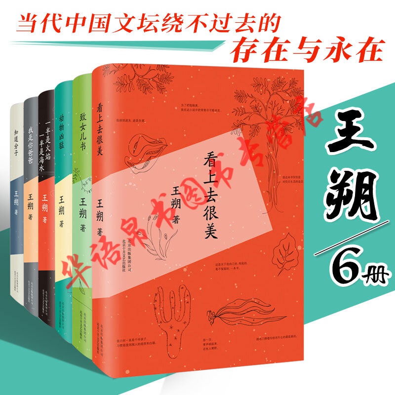 王朔作品文集全集6册 2015新版精装 看上去很美致女儿书知道分子动物凶猛等小说书文学书