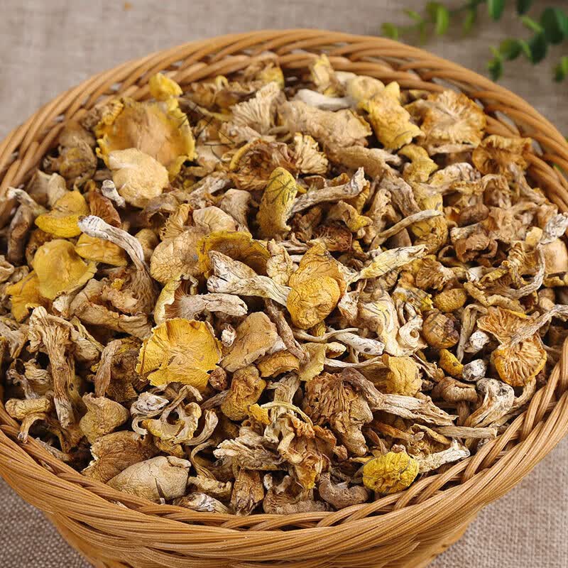 悠馋鼠东北小黄蘑松树黄油菌榆黄蘑小鸡炖蘑菇干货山蘑菇天然 野生小