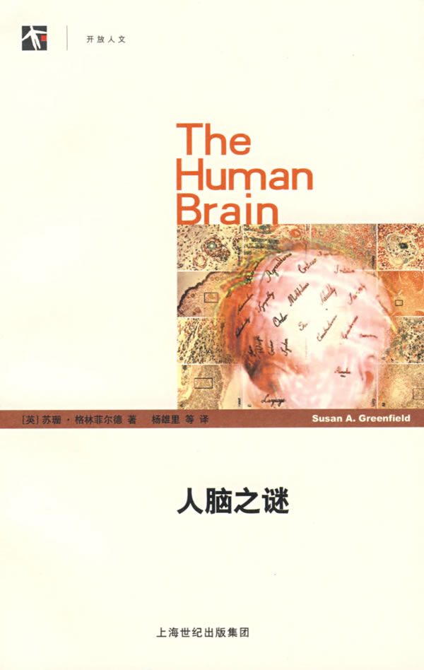 人脑之谜【正版图书】