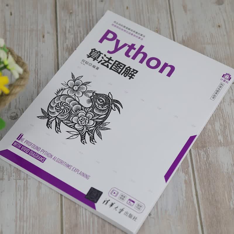 Python算法图解（计算机科学与技术丛书）