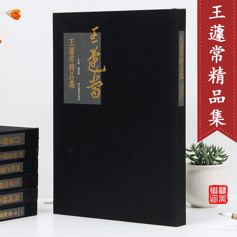 王遽常精品集  河北美术出版社 8开 王蘧常书法精品集