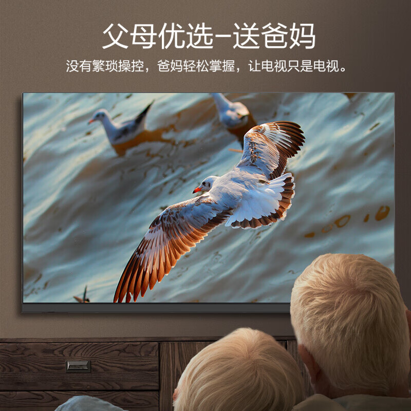 松下（Panasonic）电视机 32英寸 全面屏 高清电视 开机无广告 操作简单 老人 出租屋 液晶平板彩电 TH-32L600C 32英寸 TH-32L600C 官方标配