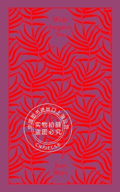 wide sargasso sea 英语原版 企鹅兰登出版 藻海无边 简爱前传 布纹