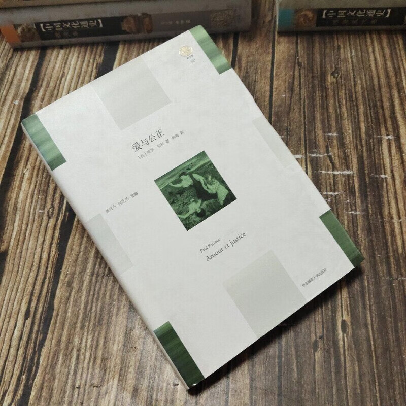 正版 爱与公正