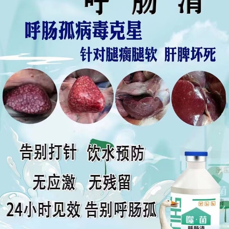 【呼肠清】高发呼肠孤病毒肝脏脾脏有白点大群腿瘸腿软饮水即可
