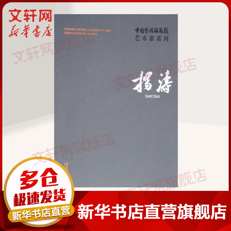 中国艺术研究院艺术家系列 杨涛