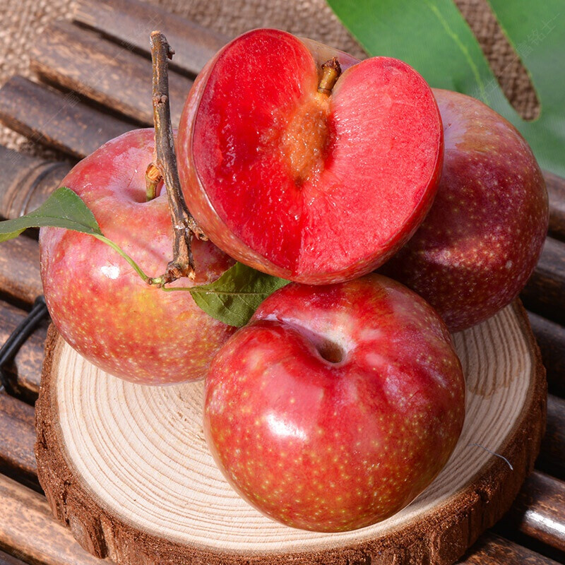 桃李村新鲜三华李红心血丝大李子当季时令新鲜水果 孕妇水果 2斤试吃