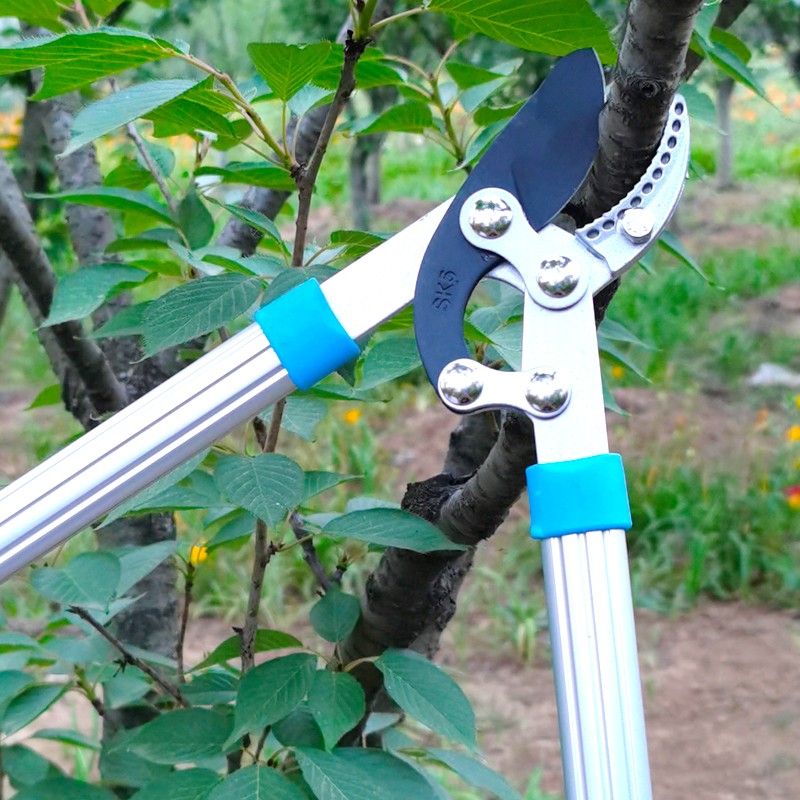 花润露粗剪枝条剪刀园艺剪树枝修枝剪花剪园林工具修剪粗枝剪子压力