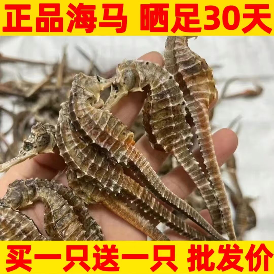 海马干货中药材配对泡酒海龙滋补煲汤儿童增高汤官方旗舰店 公母配10