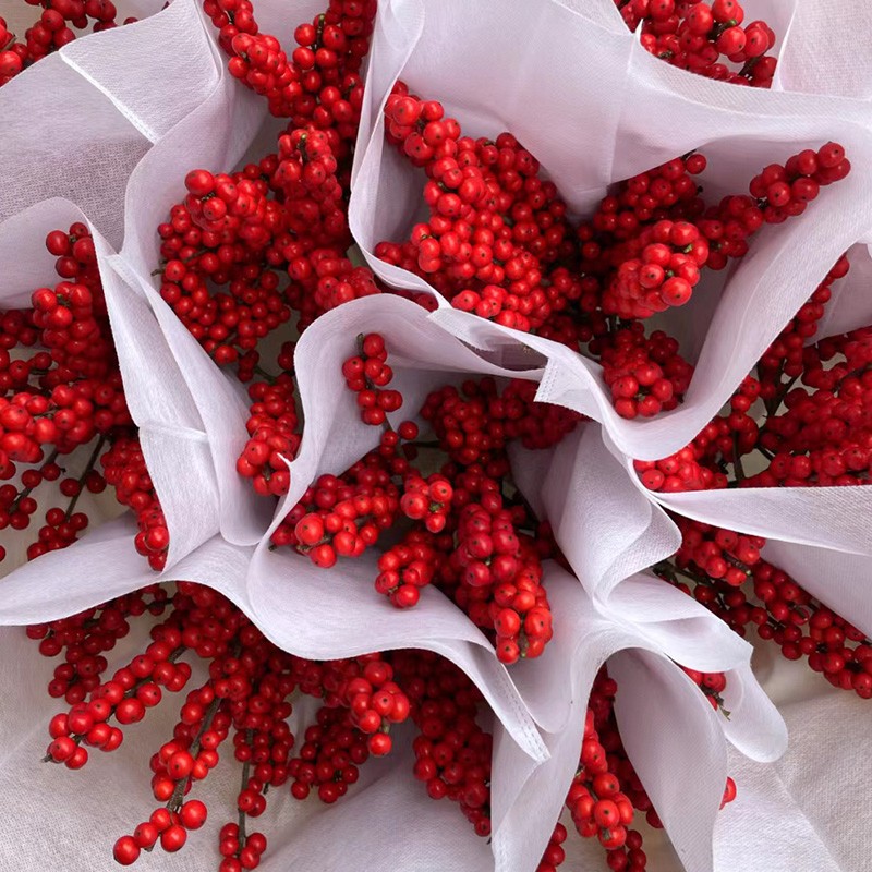 素蜜北美冬青鲜花红豆鲜切枝富贵籽红果喜庆发财果水养春节年宵花礼物 进口北美冬青(30-40cm)5支