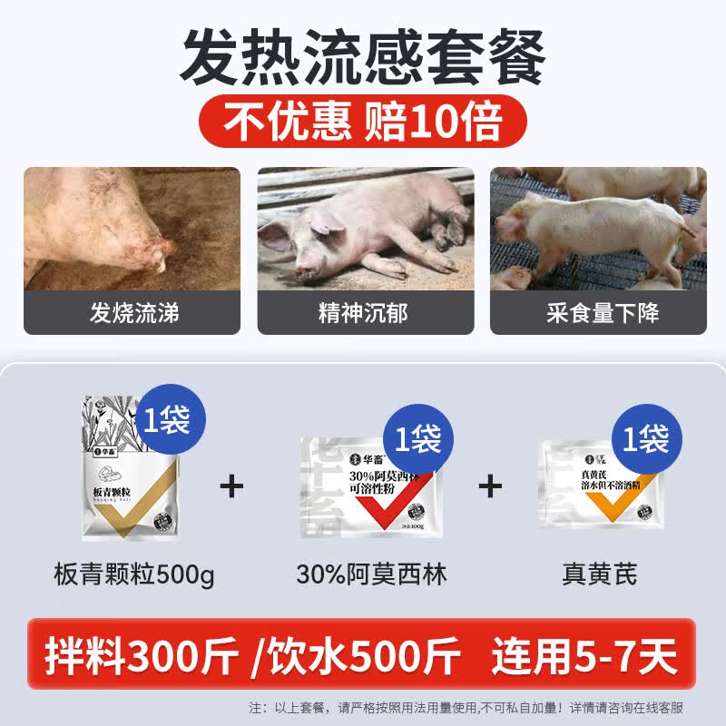 华畜 兽药板青颗粒兽用国标兽药猪牛羊鸡药呼吸道药清热解毒发热感冒 发热流感【比单买便宜15.8】高性价比高么？