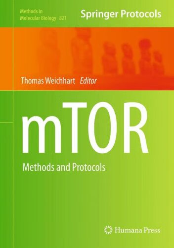 预订 mTOR