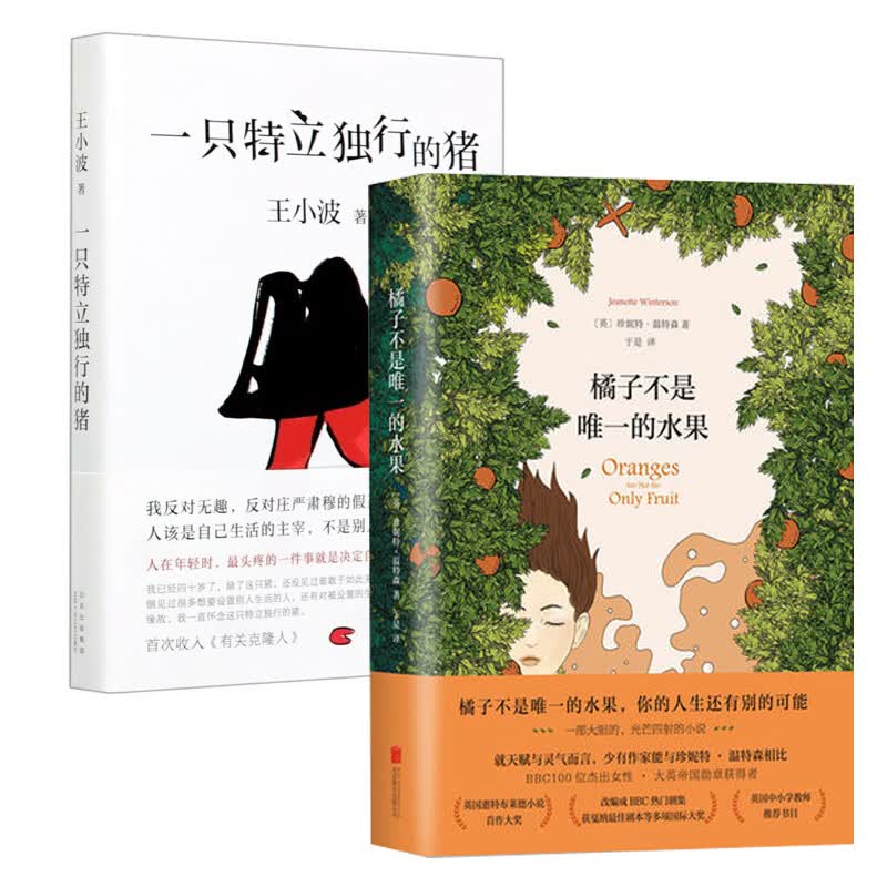 《橘子不是唯一的水果》+一只特立独行的猪全2册套装 珍妮特温特森代表作现当代文学小说使用感如何?