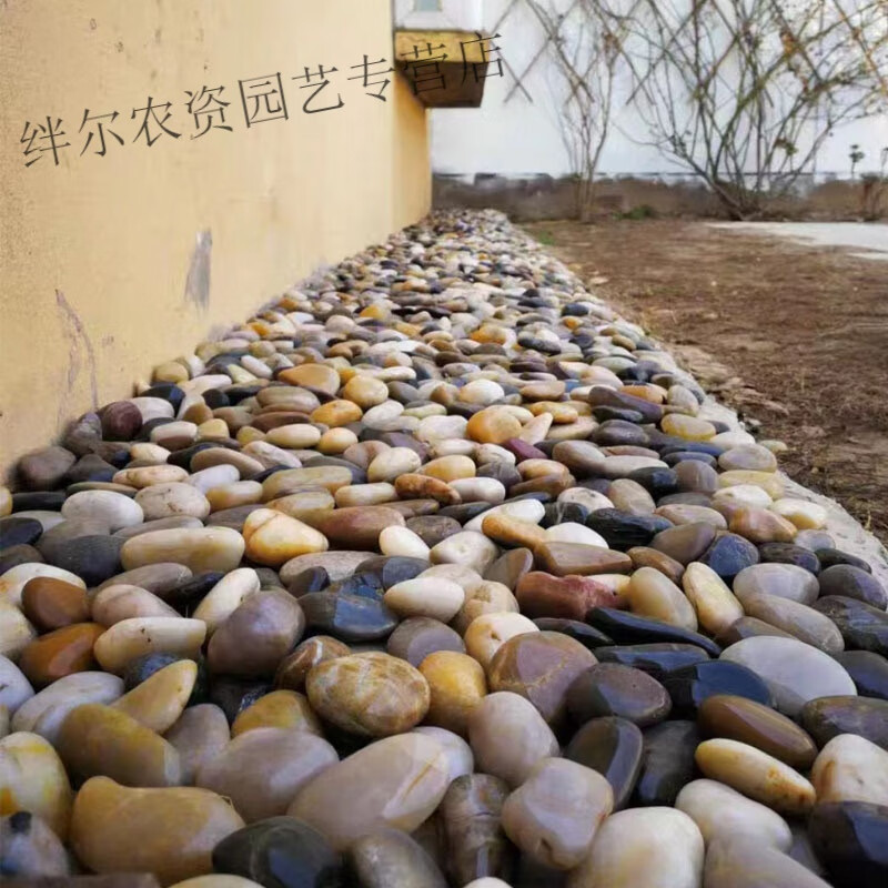 立始雨花石鹅卵石 园林造景抛光雨花石 拼图装饰用雨花石 不含物流 32