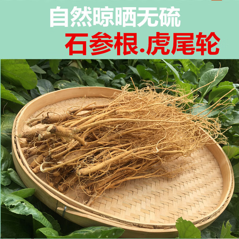 石参根虎尾轮煲汤炖汤广东梅州客家土特产石参根纯天草 500克石参根
