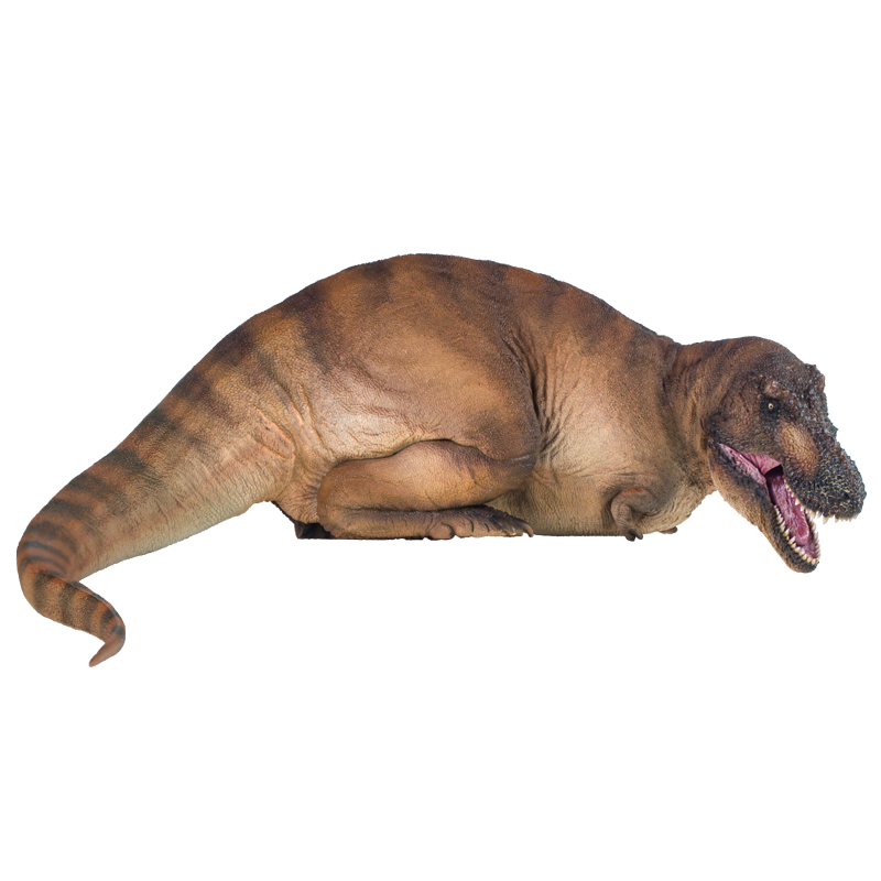 PNSO�������������ǿ��������1��35��ѧ����ģ�� 233.1Ԫ