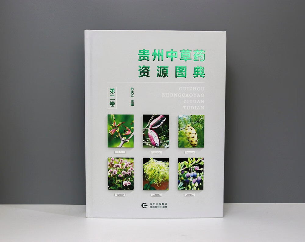 贵州中草药资源图典.第二卷 中医基础