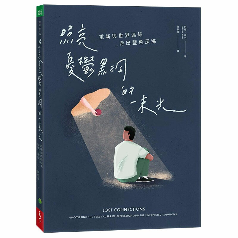 照亮忧郁黑洞的一束光：重新与世界连结 走出蓝色深海 中文心灵港台版原版图书籍约翰海利