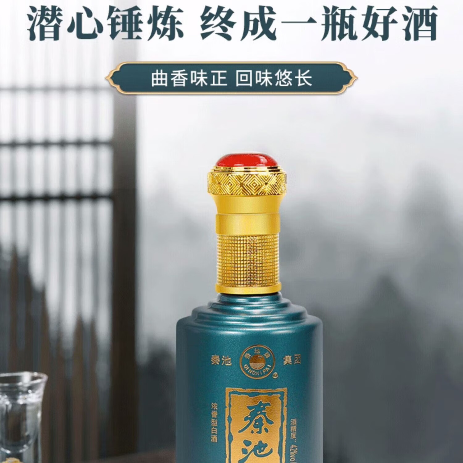 秦池山东名酒秦池特曲v5 固态纯粮浓香型42度白酒口粮酒送礼自饮 单