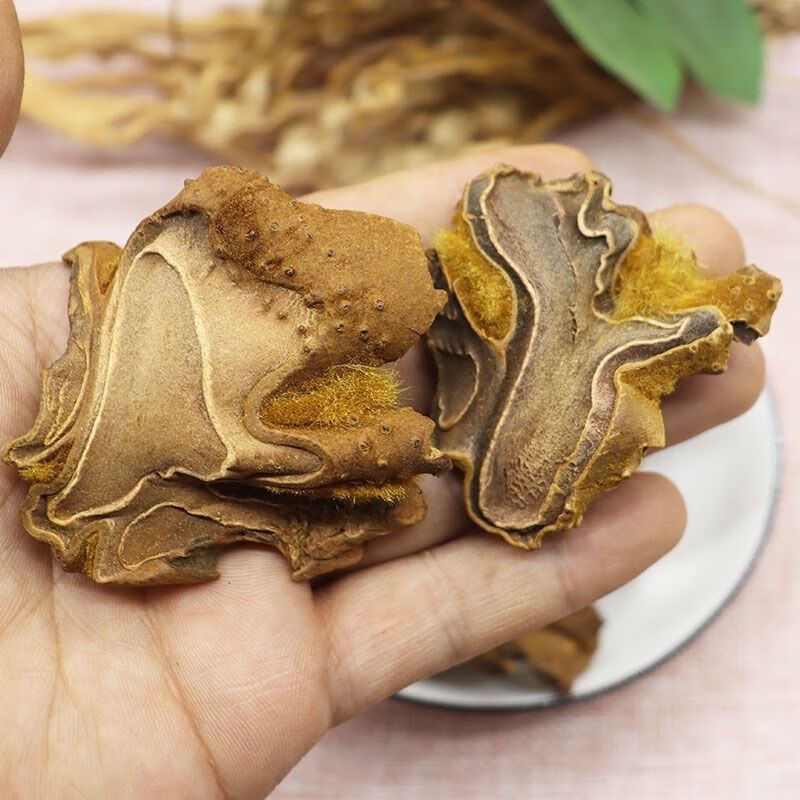 精选金毛狗脊500克 生金狗脊 金毛狗猴毛头黄狗头苟脊批发 野生狗脊