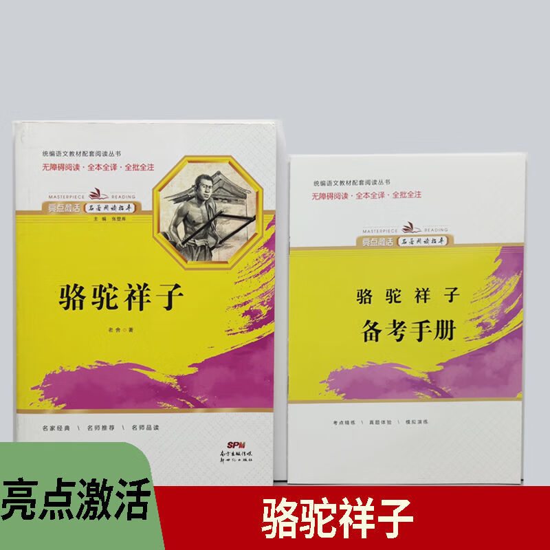 新2023版亮点激活名著阅读骆驼祥子海底两万里简爱儒林外史钢铁 附赠