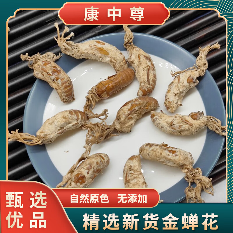 中药材金蝉花野外生100-1000g克新货竹林蝉花知了花大虫草 金蝉花 500