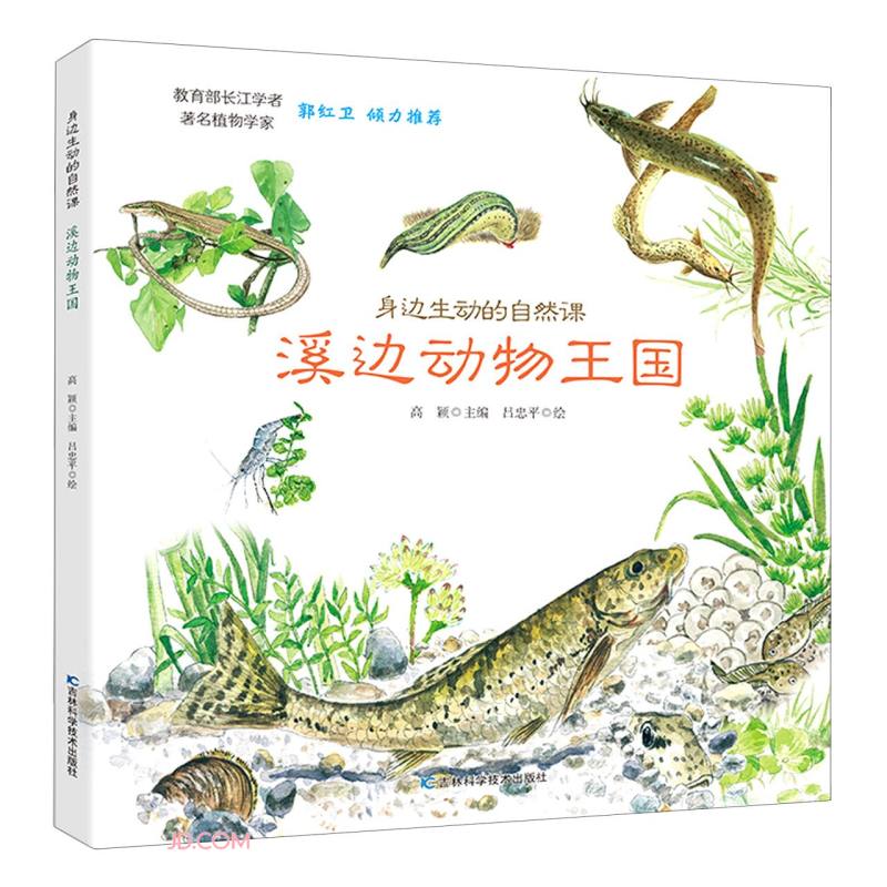 身边生动的自然课-溪边动物王国 