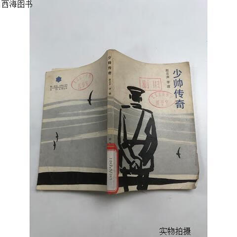 【二手八五成新】少帅传奇{实物拍摄}