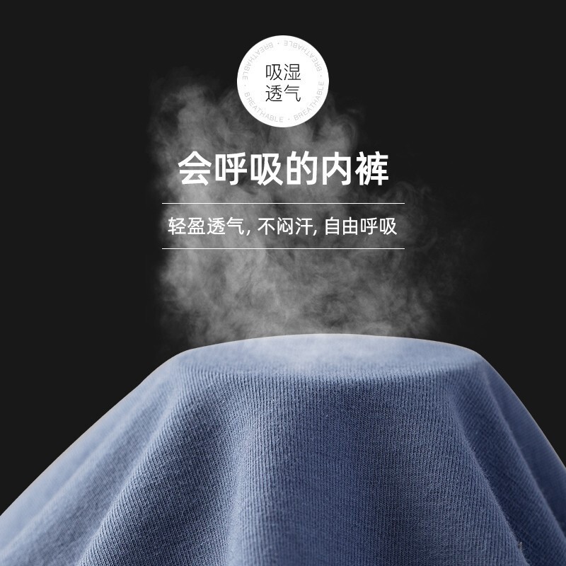 浪莎男士内裤男纯棉抗菌夏季透气100%全棉透气男生四角裤头平角短裤衩 8111【经典纯色款】 4条 XL (175) 【适合110-130斤】