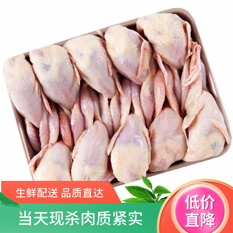 湘明有絮新鲜大鹌鹑鹌鹑肉小鹌鹑鸟活体现杀放血烧烤食材鹌鹑冻鲜特大
