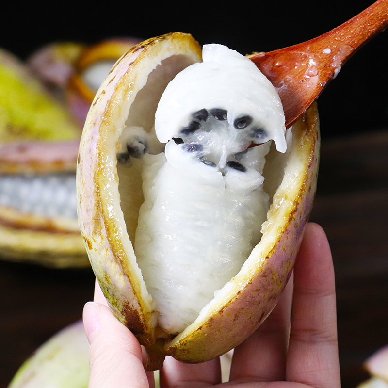 贵州八月瓜 八月炸水果新鲜8月炸当季整箱5斤 3斤