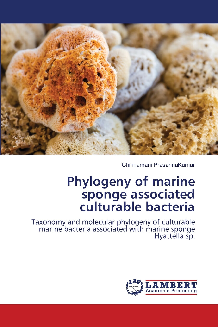 【预售 按需印刷】phylogeny of marine sponge associated