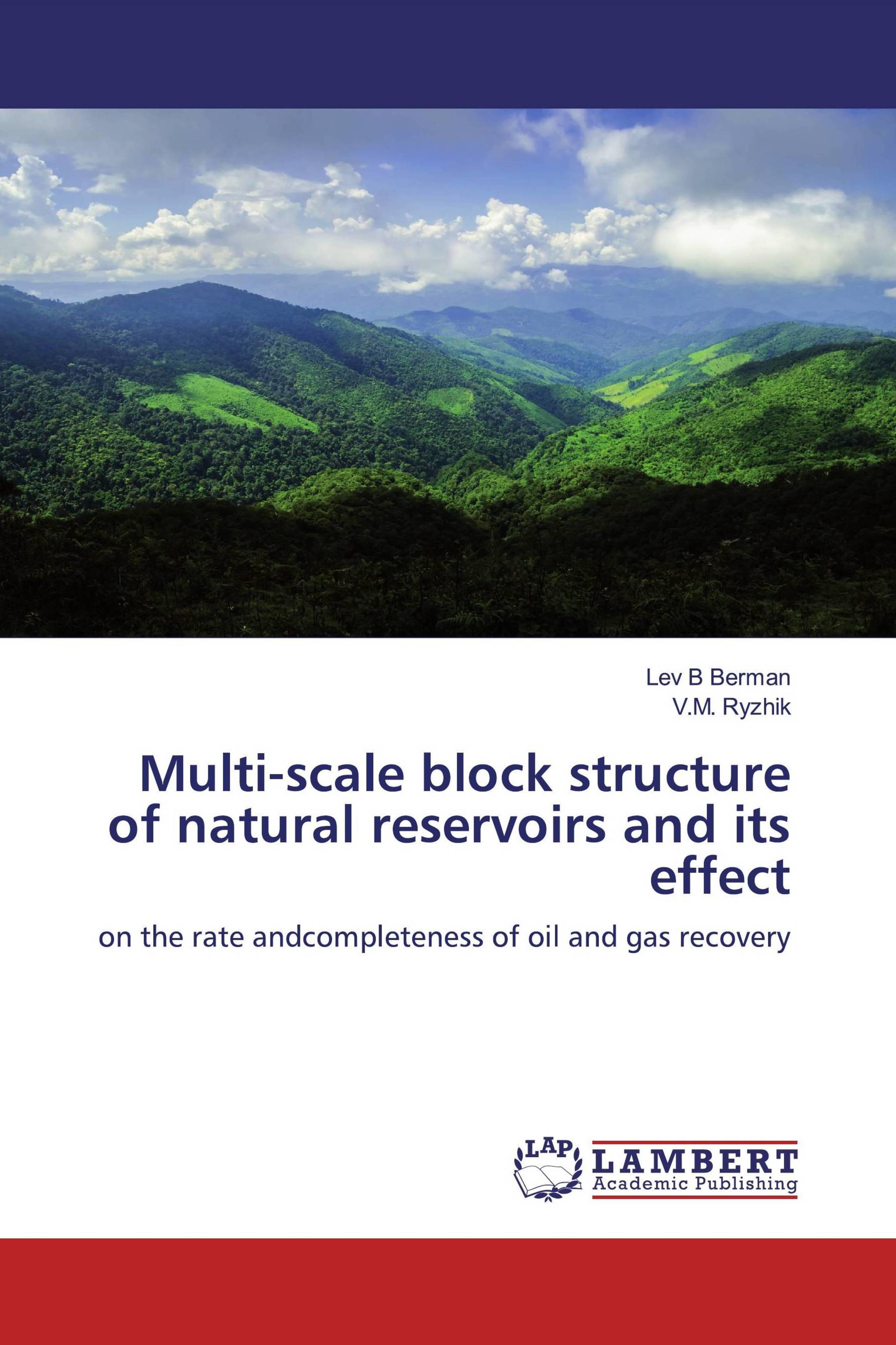 预订Multi-scale block structure of natural reservoir